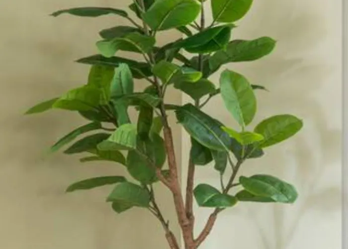 New Oirschot-eindhoven Crown Διαμέρισμα *