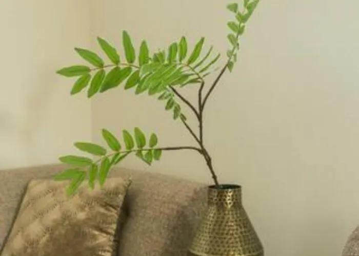 New Oirschot-eindhoven Crown Διαμέρισμα *